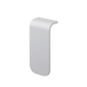 Silver front cover BXS FACE COVER (SILVER)