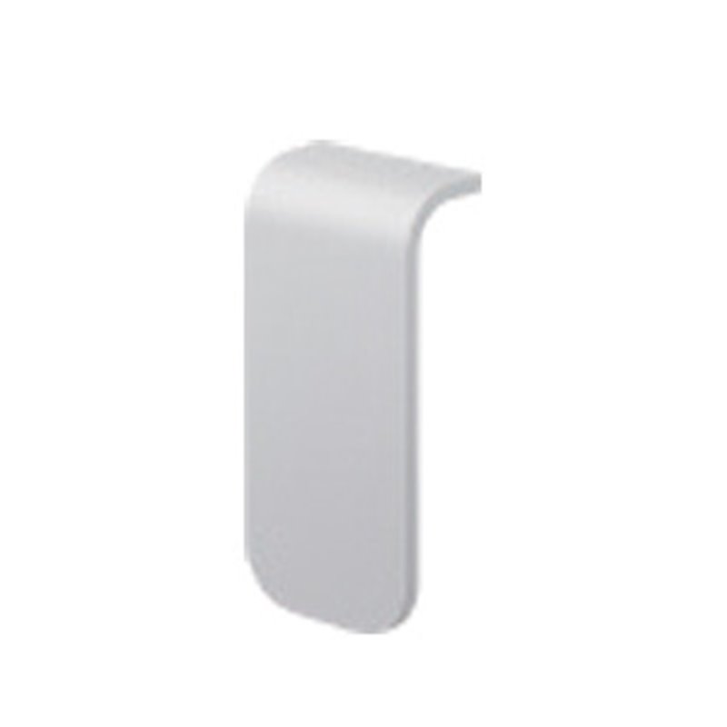 Silver front cover BXS FACE COVER (SILVER)