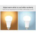 Synergy 21 LED Retrofit E27 12W RGB-WW lamp with radio and WLAN *Milight/Miboxer* - 148493 - 2