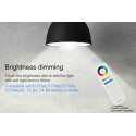 Synergy 21 LED Retrofit E27 9W RGB-WW (RGB-CCT) Lampe mit Funk und WLAN *Milight/Miboxer* - 149923 - 5