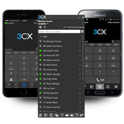 3CX Annual PBX - CROSSgrade von xxSC Std./PRO zu xxSC PRO/ENT 3CX - Artmar Electronic & Security AG 