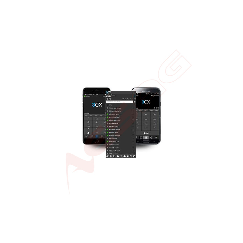 3CX Annual PBX Professional - 48SC - 172142 - 1