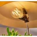 Shelly · Plug & Play · "Vintage A60 E27" · LED Lampe · WLAN - 183272 - 2