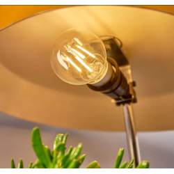 Shelly · Plug & Play · Beleuchtung · "Vintage A60" · WLAN LED Lampe Shelly - Artmar Electronic & Security AG 