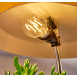Shelly · Plug & Play · "Vintage A60 E27" · LED Lampe · WLAN - 183272 - 2