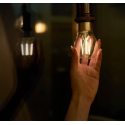 Shelly · Plug & Play · "Vintage A60 E27" · LED Lampe · WLAN - 183272 - 3