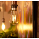 Shelly · Plug & Play · "Vintage ST64 E27" · LED Lampe · WLAN - 183273 - 3