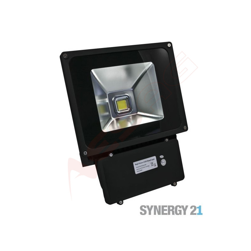 Synergy 21 LED outdoor spotlight 80W black housing - cold white V2 Synergy 21 LED - Artmar Electronic & Security AG