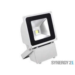 Synergy 21 LED Outdoor Objektstrahler 80W graues Gehäuse - neutralweiß V2 Synergy 21 LED - Artmar Electronic & Security AG 