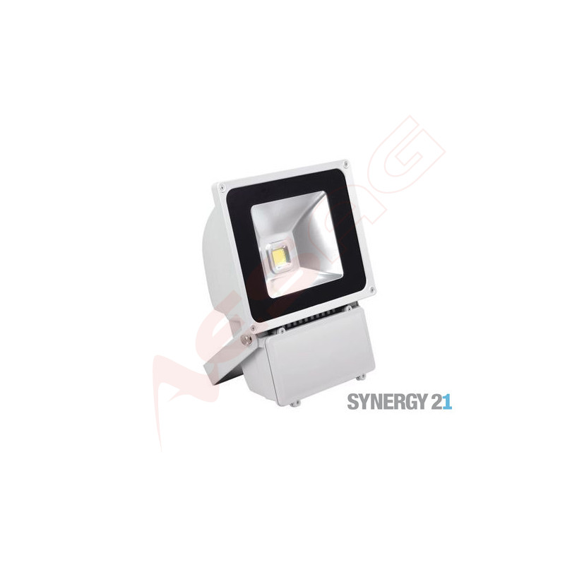 Synergy 21 LED outdoor spotlight 80W grey housing - neutral white V2 Synergy 21 LED - Artmar Electronic & Security AG