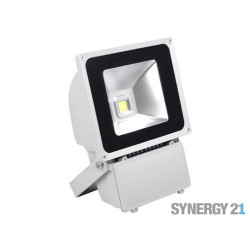 Synergy 21 LED Outdoor Objektstrahler 80W graues Gehäuse - kaltweiß V3 Synergy 21 LED - Artmar Electronic & Security AG 