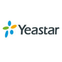 Yeastar Workplace Visitor Pro On-Premise Annually Per year per Visitor 215653 Yeastar 1 - Artmar Electronic & Security AG