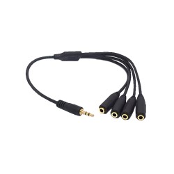 Stereo-Audio-Jack Splitter - 1 Stecker bis zu 4x3.5m Buchse - 30 cm - JACK1T4 - 1