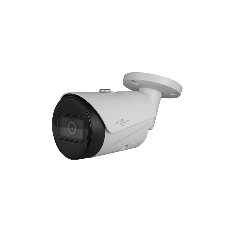 IP Bullet-Kamera 2 Megapixel Pro Serie - 1/2.9” Progressive Scan CMOS - Komprimierung H.265+/H.265/H.264+/H.264 - Objektiv 2.8 m
