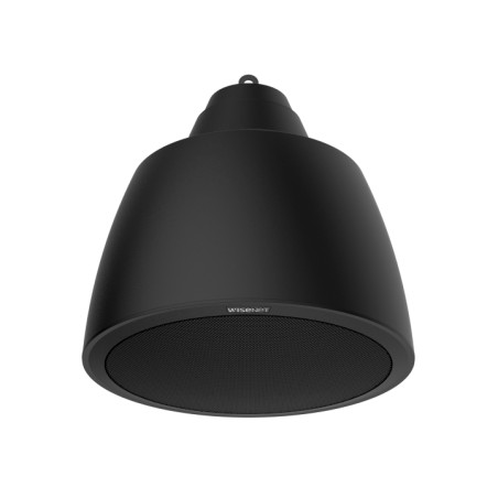 Hanwha Techwin IP Audio System Hängelautsprecher SPA-P100B - 221976 - 1