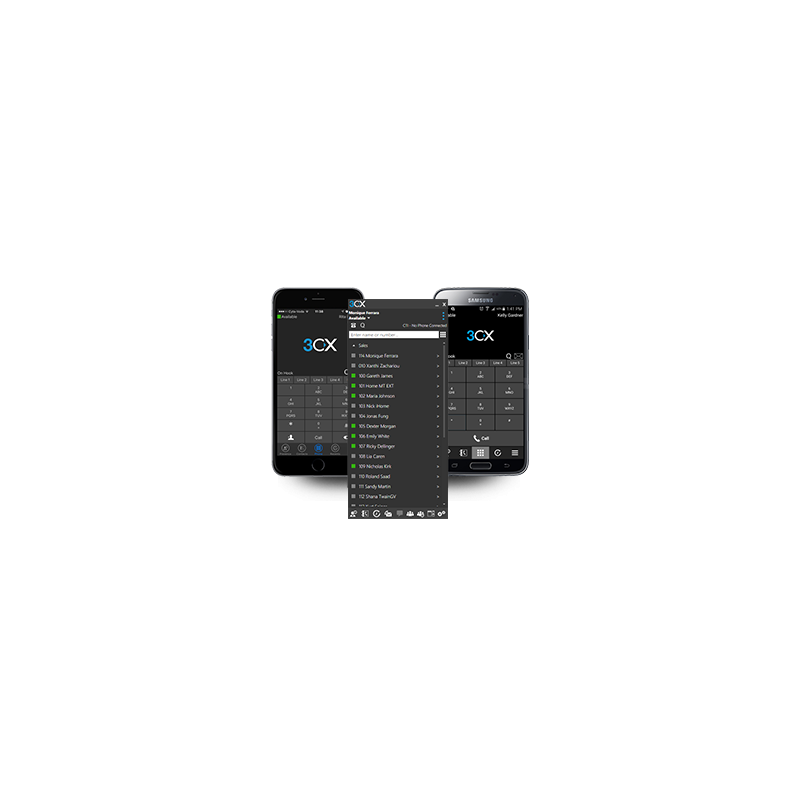3CX Annual PBX Enterprise - 24SC - 172520 - 1