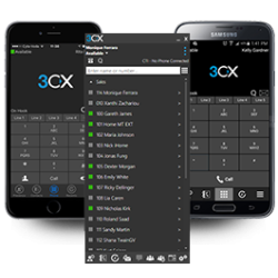 3CX Annual PBX Enterprise - 96SC - 183790 - 1