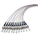 LWL-Pigtail-ST 50/125u,2mtr. OM2 12-Pack - 62254 - 1