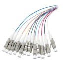 LWL-Pigtail-LC 50/125u, 2mtr. OM4, 12-Pack, farbig - 121288 - 1