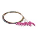 LWL-Pigtail-SC 50/125u, 2mtr. OM4, 12-Pack, farbig, Synergy 21, - 190090 - 1