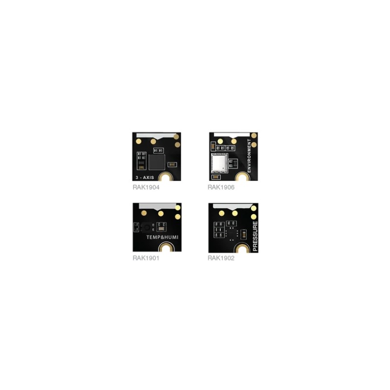 RAK Wireless · LoRa · WisBlock · Kit · Connected Box - 208042 - 2