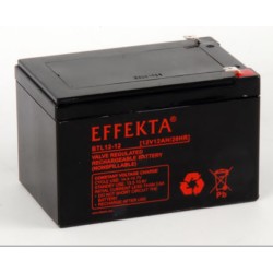 Effekta e.g. battery 12V/ 12Ah, 10-year batteries - 168125 - 1