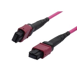 LWL-MTP®-Female Patchkabel OM4 LowLoss(ELite), 12 Faser, Typ B crossed, erika-violett, 1m, Synergy 21, - 201798 - 1