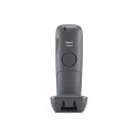 Gigaset E560 HX Platin - 134575 - 2
