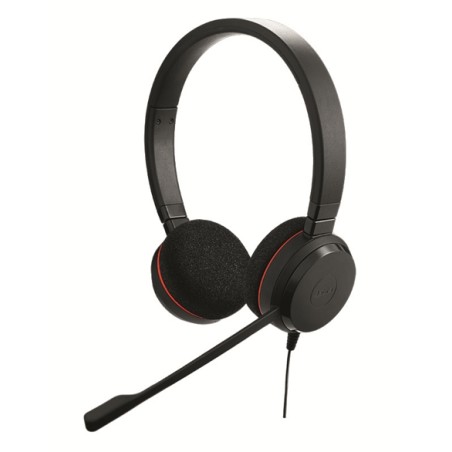 Jabra Evolve 20 Headset Duo USB - 115226 - 1