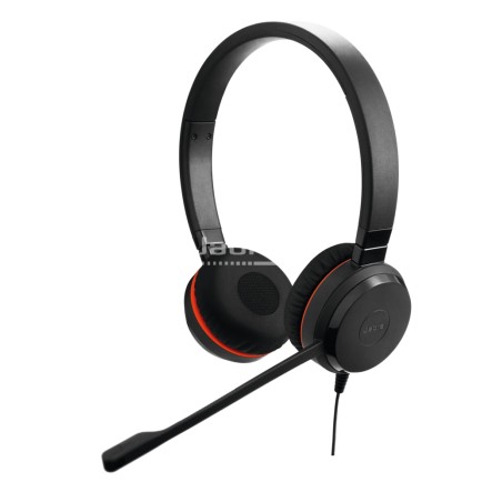 Jabra Evolve 30 II Headset Duo 3,5mm / USB - 134864 - 1