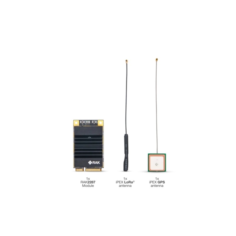 RAK Wireless · LoRa · WisLink LPWAN · Concentrator Modul · RAK2287 - 192459 - 4