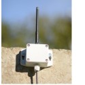 LoRa ELSYS LoRAWAN ELT Lite outdoor analog or digital sensor (without antenna) - 178293 - 4