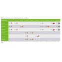 Wago Gelbox Series 221, 2x73 max. 4mm² terminals size 3 (3 pieces) IP68 - 213110 - 4
