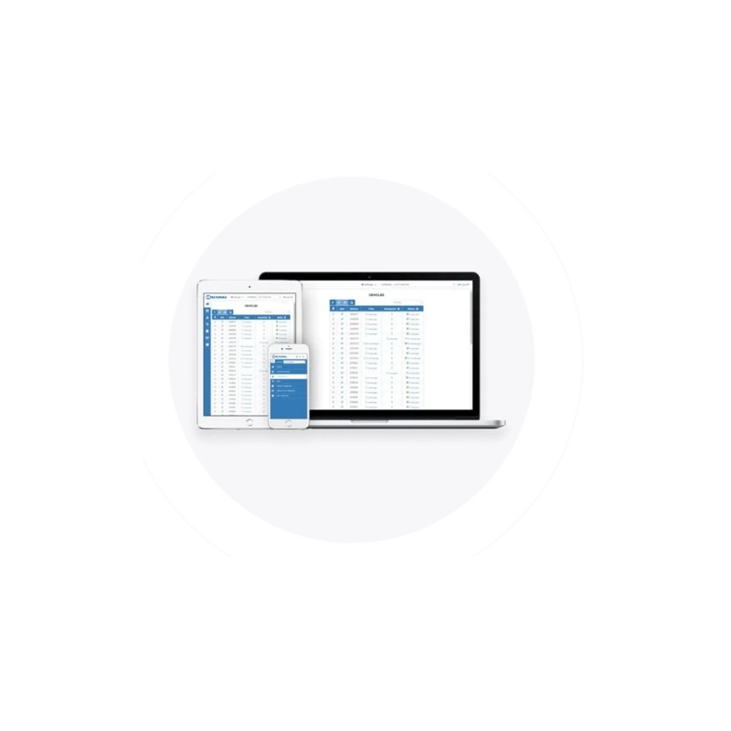 Teltonika · WebTacho · 100 devices · Lifetime - 195076 - 1