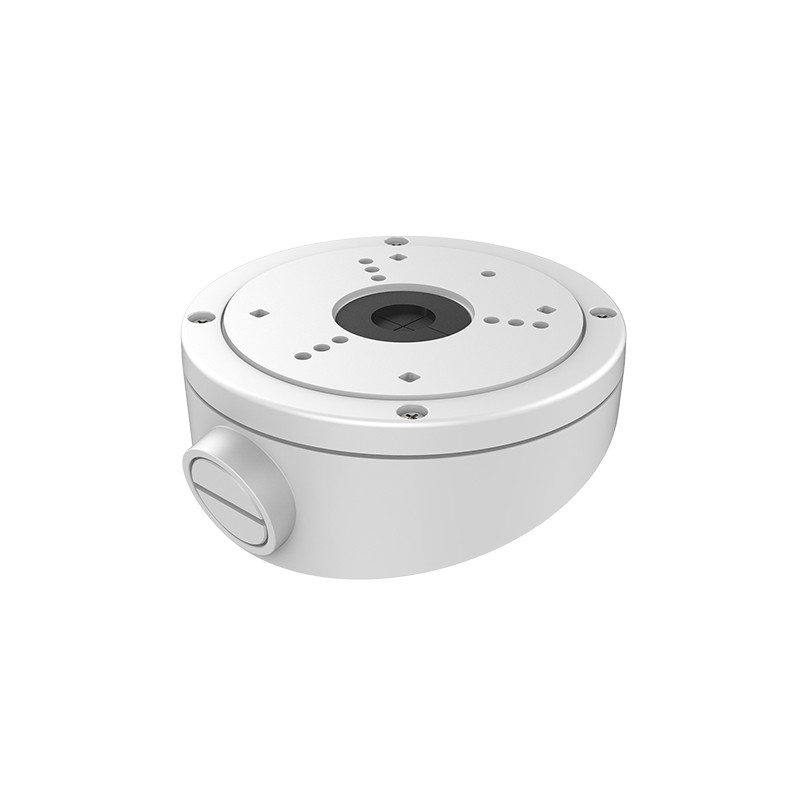 Geneigte Dachstütze - Geeignet für Dome - Geeignet für den Außenbereich - Weiße Farbe - Aluminiumlegierung - DS-1281ZJ-S - 1