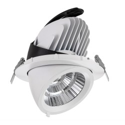 Synergy 21 LED Downlight weiss, schwenkbar, warmweiß - 231123 - 1