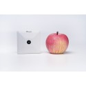 Milesight IoT AI Workplace Occupancy Sensor (High Ceiling Mount Version), VS121-868M-White-High High Ceiling - 219164 - 4