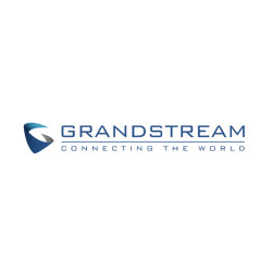 Grandstream IPVT10 - 100 licenses