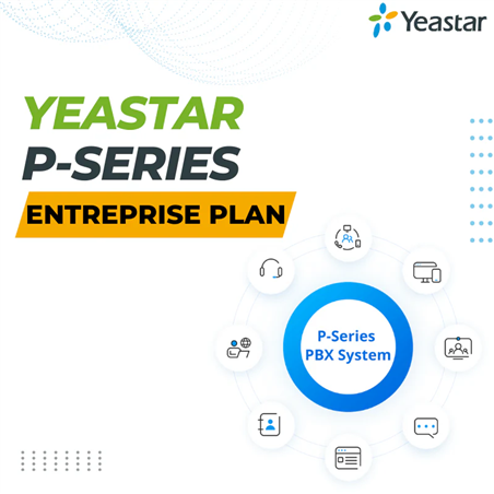 Yeastar P-Series SE Enterprise Plan - 250 extensions , 5 year