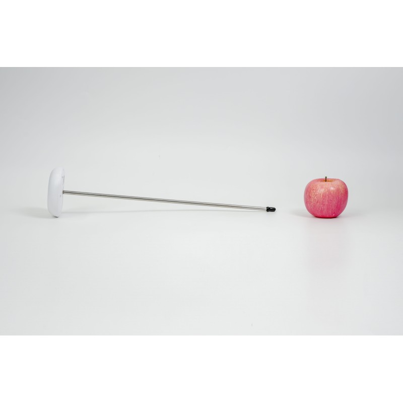 Milesight IoT Insertion Temperature Sensor, TS101-868M (2 Pieces) IP67 / IK10 - 219484 - 8