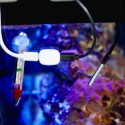 Shelly · The Pill · "Temperatursensor DS18B20 3,5 mm Jack 1m Kabel" - 252235 - 3