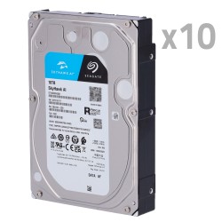 Packung/Kit mit Festplatten - 10 Einheiten - Seagate SkyHawk ST10000VE0008 - Bis zu 32 Übertragungen von künstlicher Intelligenz