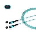 Zyxel Switch Stacking Cable for 100G Breakout Cable for QSFP100G-SR4, MPO-10M - 252977 - 2