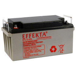 Effekta eg battery 12V/ 65Ah, 10-year batteries Effekta - Artmar Electronic & Security AG
