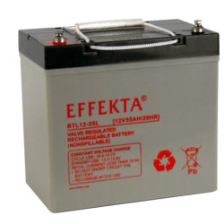 Effekta eg battery 12V/ 55Ah(L), 10-year batteries Effekta - Artmar Electronic & Security AG