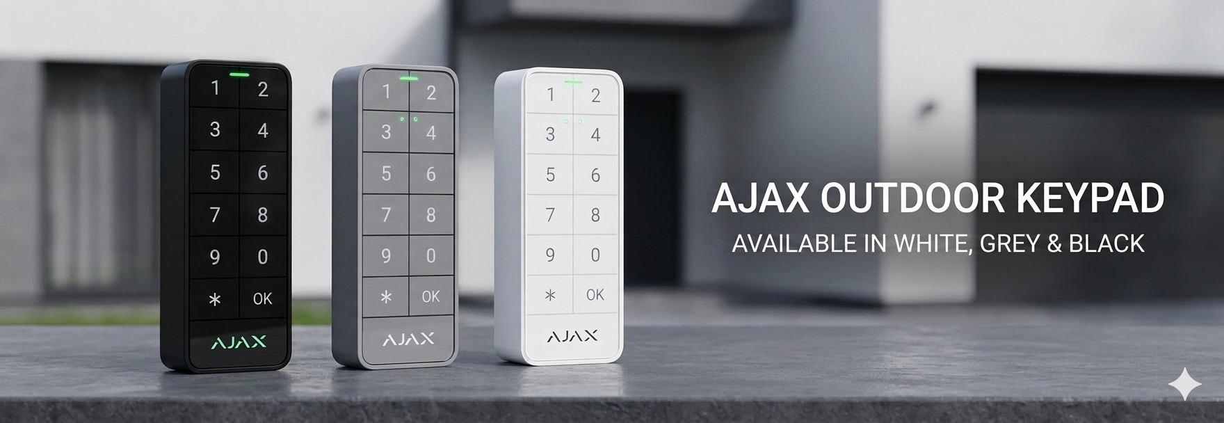 AJAX Keypad Outdoor AJAX Keypad Outdoor